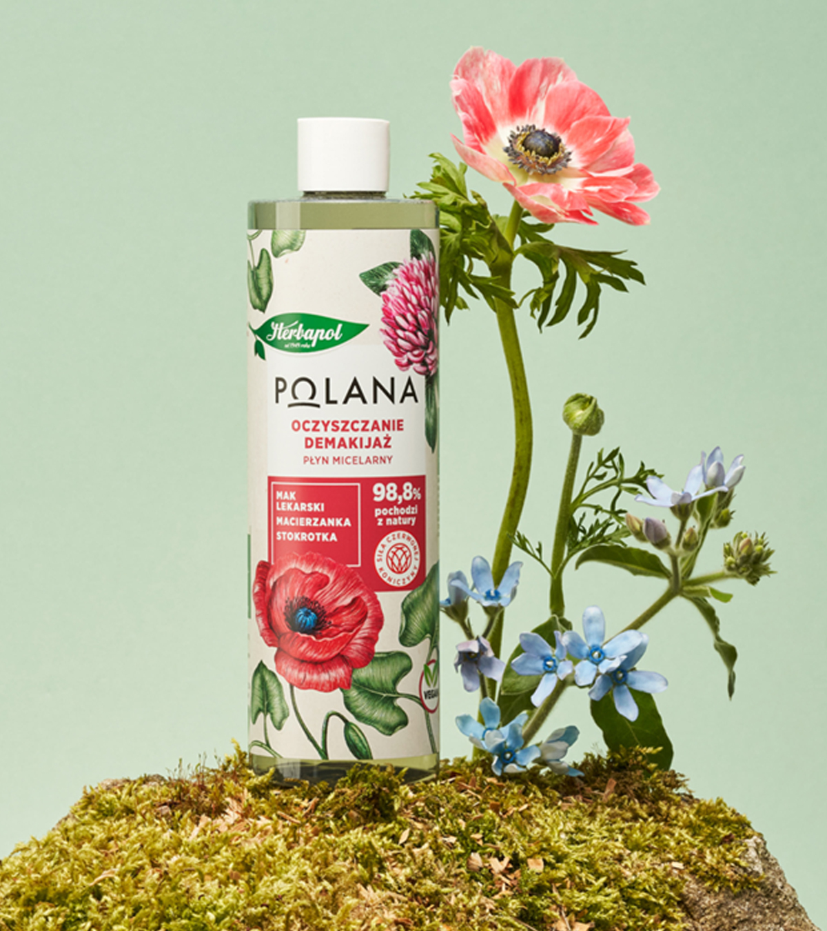Polana — wariant produktowy 1A