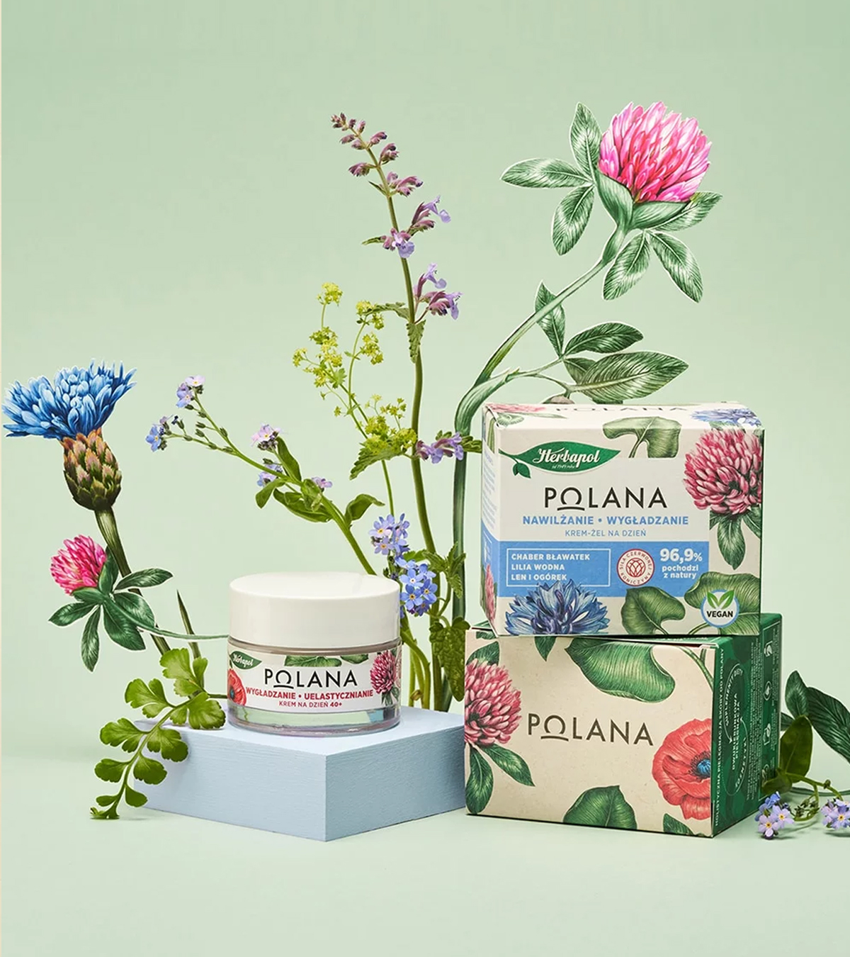 Polana — wariant produktowy 2A