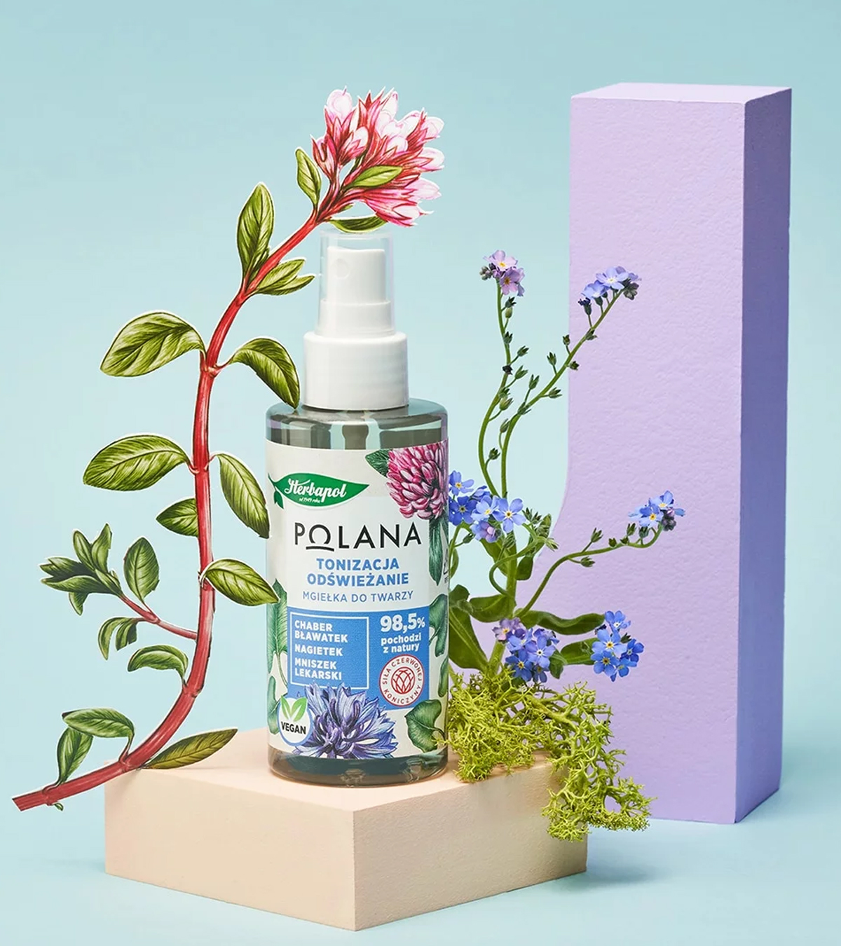 Polana — wariant produktowy 2B